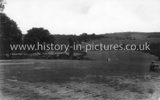 The Golf Links from Warren Wood, Buckhurst Hill, Essex. c.1950's